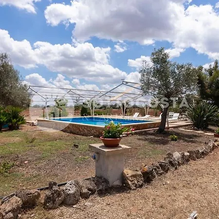 Oasis